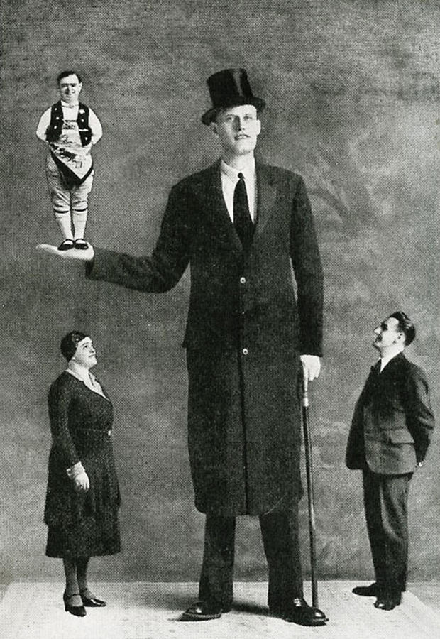 Gigantism And Dwarfism, Kramer #3 Photograph by Science Source