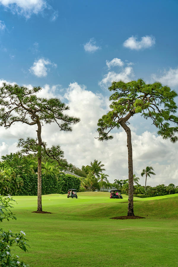 Golf Course, Boca Raton, Florida #3 Digital Art by Laura Zeid