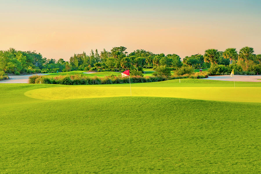 Golf Course In Boca Raton Florida #3 Digital Art by Laura Zeid