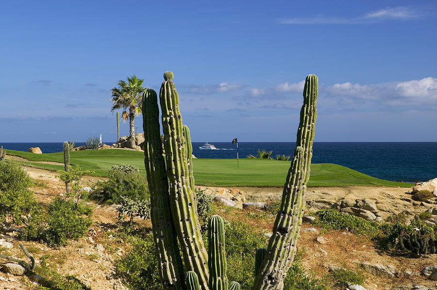 Golf Course, Los Cabos, Mexico #3 Digital Art by Hp Huber