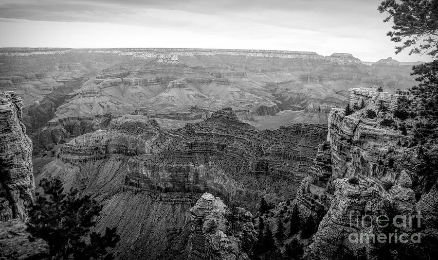 Grand Canyon Black White  #4 Photograph by Chuck Kuhn