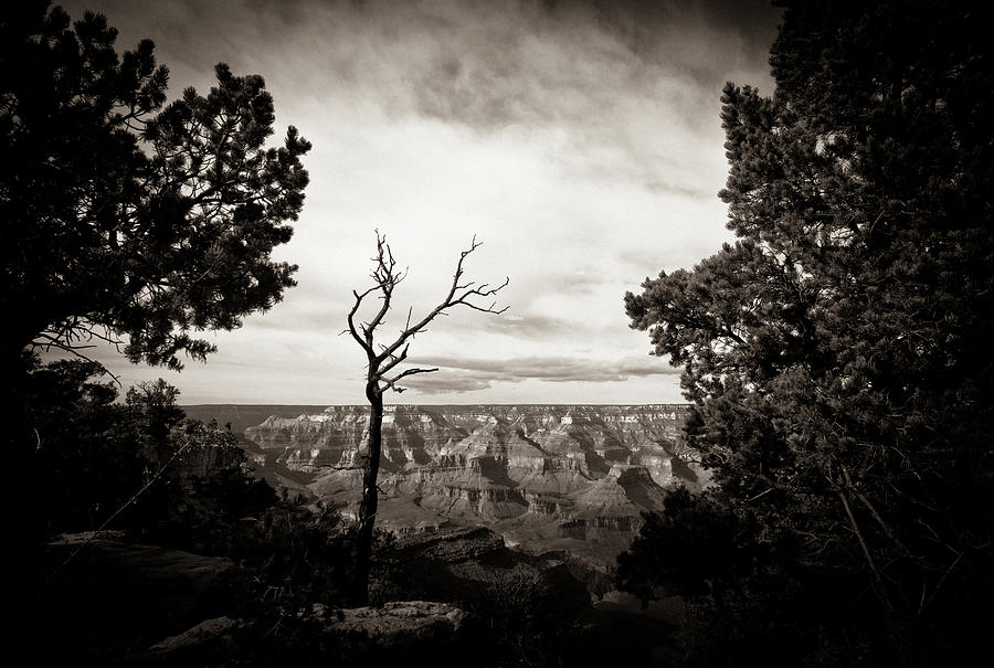 Grand Canyon #3 Photograph by Instants