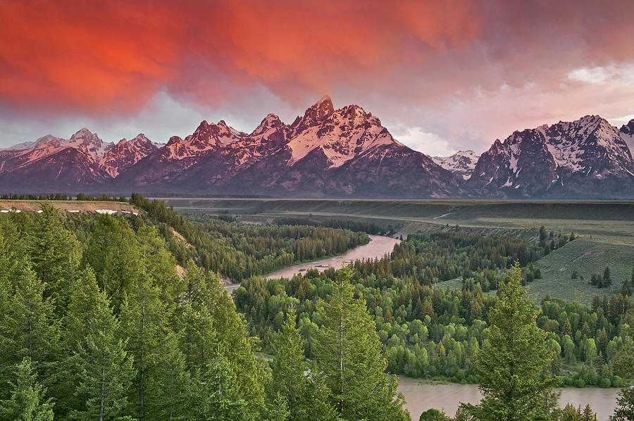 Grand Teton Np, Wy #3 Photograph by Enrique R. Aguirre Aves