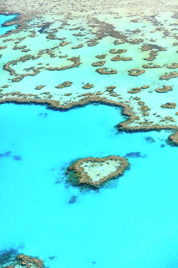 Great Barrier Reef In Australia #3 Photograph by Maurizio Rellini