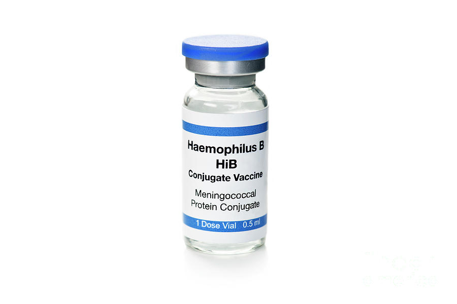 Haemophilus B Vaccine #3 Photograph By Sherry Yates Young/science Photo ...