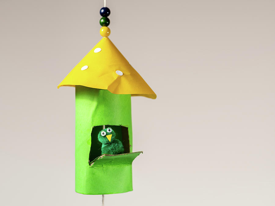 DIY: Toilet Paper Roll Birdhouses - Finding Your Good