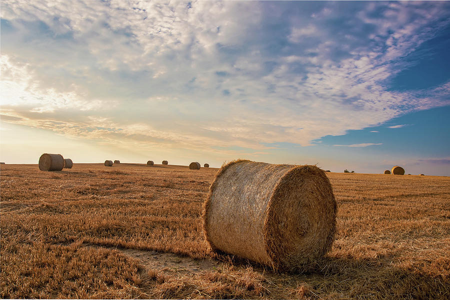 Harvested Field With Straw Bales In Summer Photograph by Artush Foto ...