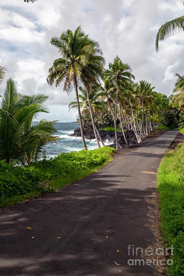 Hawaii Big Island Photograph by Jim West