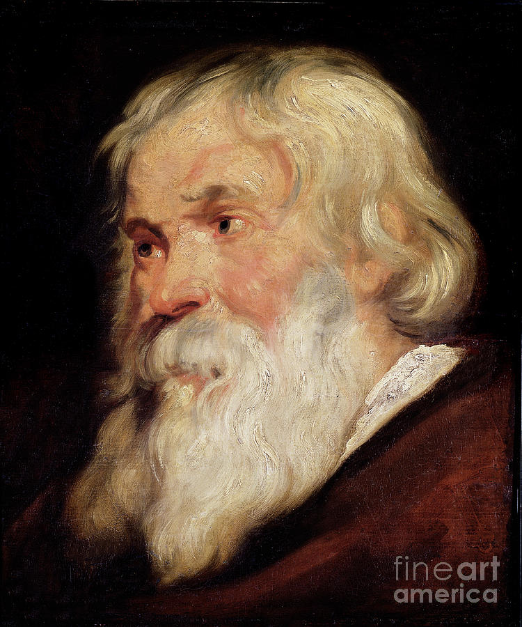 Peter Paul Rubens Painting - Head Of An Old Man by Peter Paul Rubens