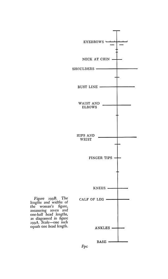 Height Chart Drawing by CSA Images | Fine Art America