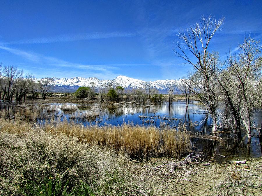 High Desert Photograph by Marilyn Diaz - Fine Art America