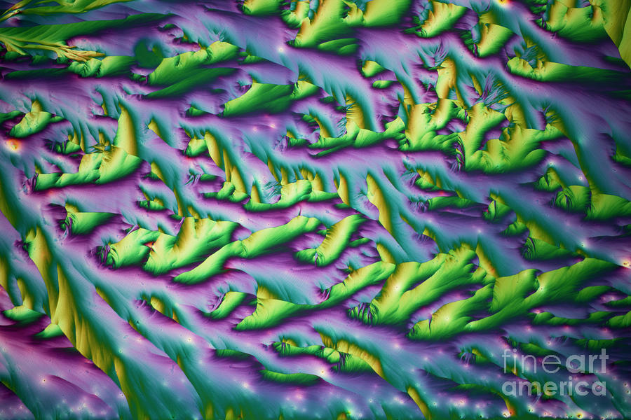 Histological And Engineering Chemicals #3 Photograph by Karl Gaff / Science Photo Library