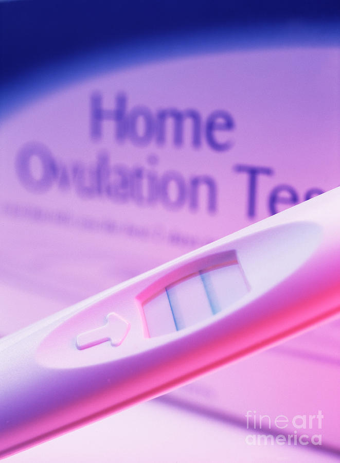 Home Ovulation Test Photograph by Cordelia Molloy/science Photo Library