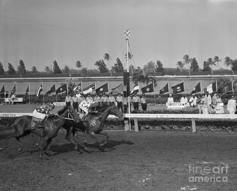 Horses Running In A Race #3 Photograph by Bettmann