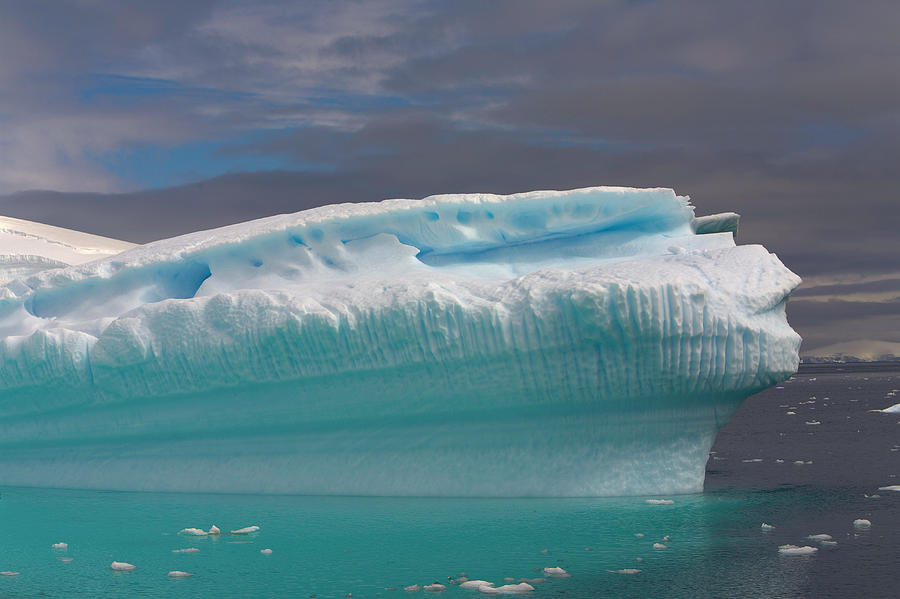 Icebergs Antarctic Peninsula #3 Photograph by Eastcott Momatiuk