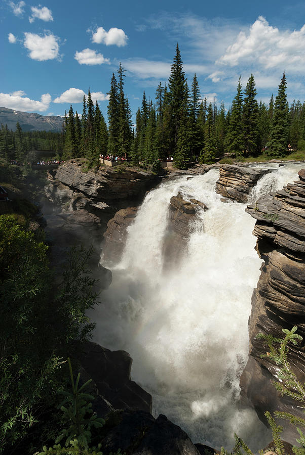 Icefields Parkway, Athabasca Falls #3 Photograph by John Elk Iii
