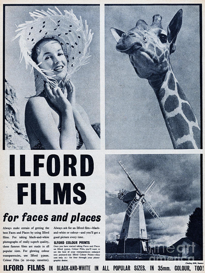 Ilford Films Photograph by Picture Post Ilford Films Photograph by Picture Post