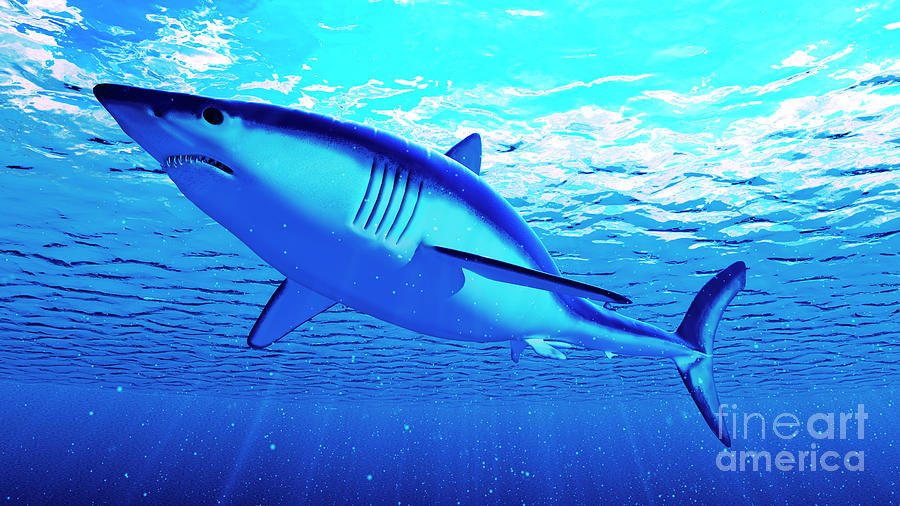 Illustration Of A Mako Shark Photograph by Sebastian Kaulitzki/science ...