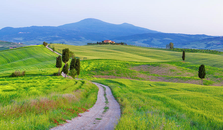 Italy, San Quirico D'orcia Photograph by Jaynes Gallery - Fine Art America