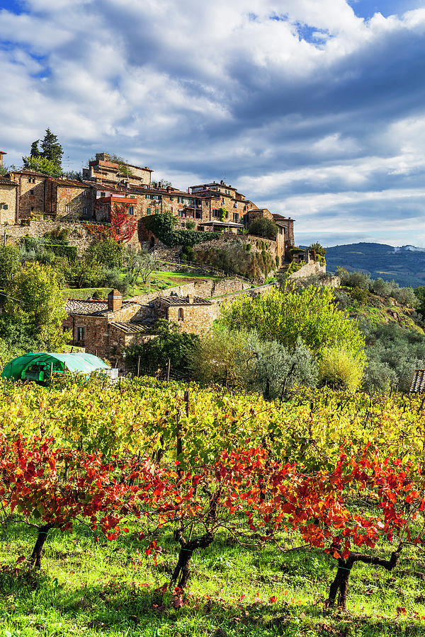 Italy, Tuscany, Firenze District, Chianti, Montefioralle, View Of The Picturesque Village Surrounded By Its Vineyards #3 Digital Art by Luigi Vaccarella