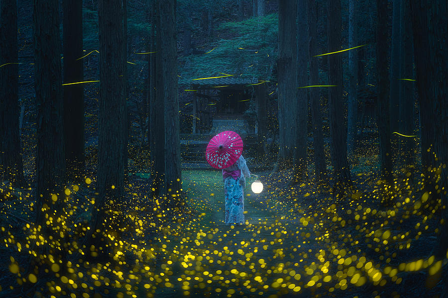 Firefly Photograph - Japanese Kimono And Sea Of Fireflies #3 by Vu Van Quan