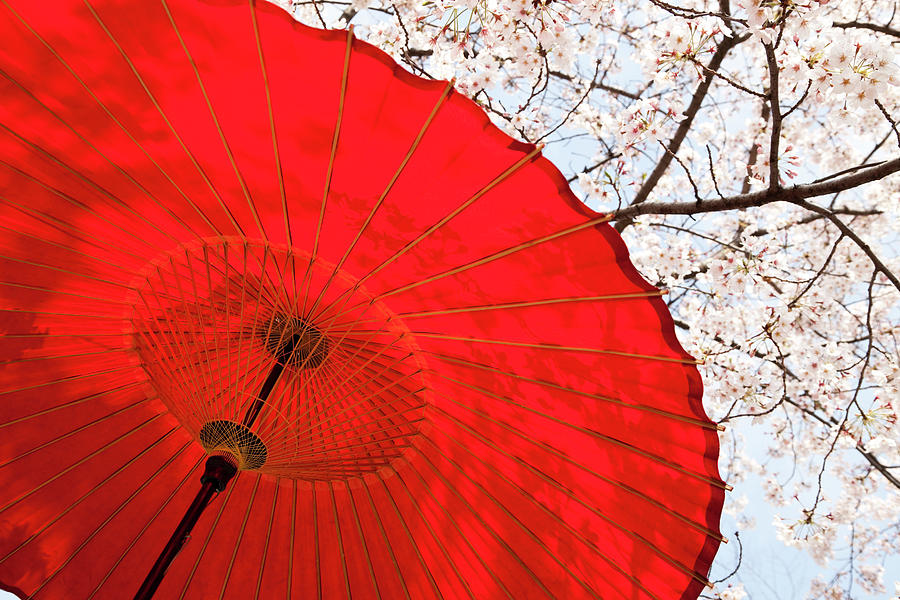 Japanese Umbrella #3 Photograph by Ooyoo