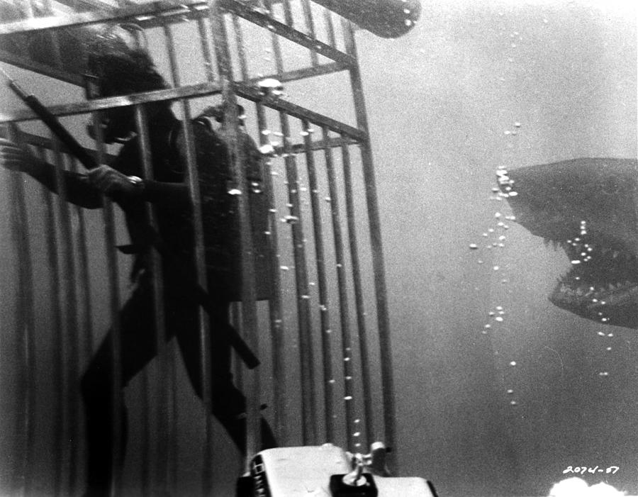 Jaws Photograph - Jaws #3 by Movie Star News