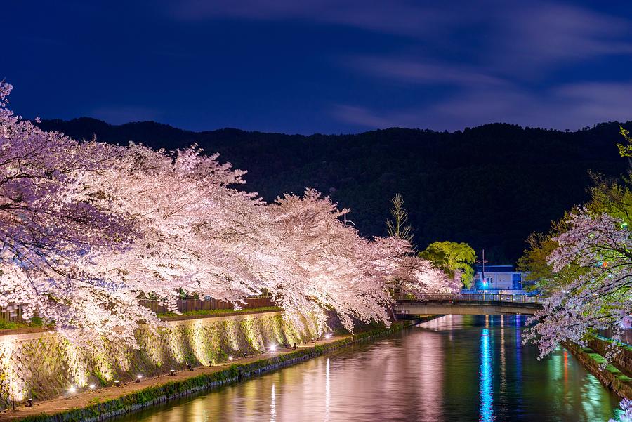Spring Photograph - Kyoto, Japan On The Okazaki Canal #3 by Sean Pavone