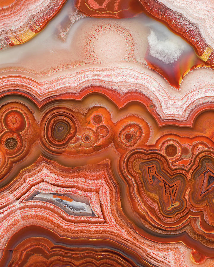 Lace Agate, Macro #3 Photograph by Mark Windom