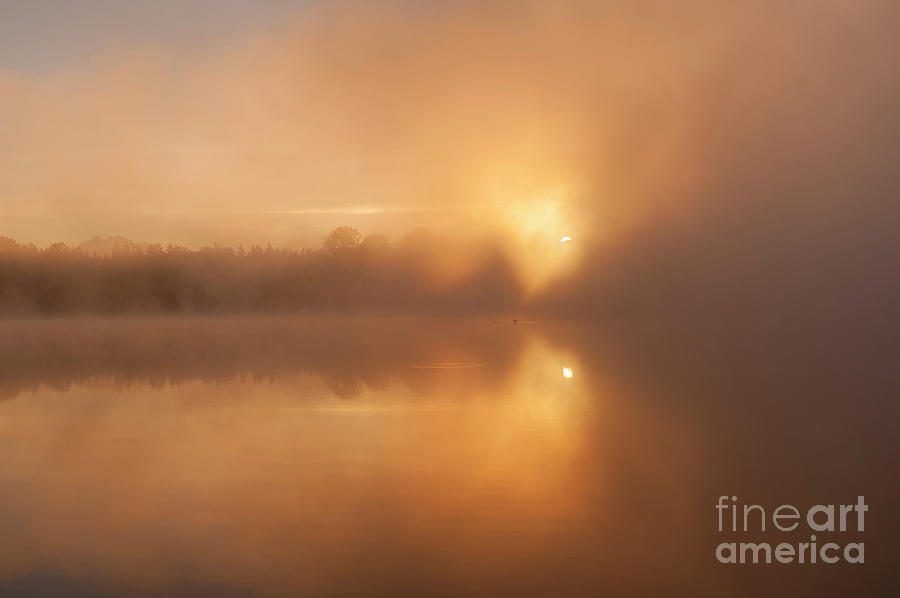 Lake Cassidy Sunrise In Fog #3 Photograph by Jim Corwin