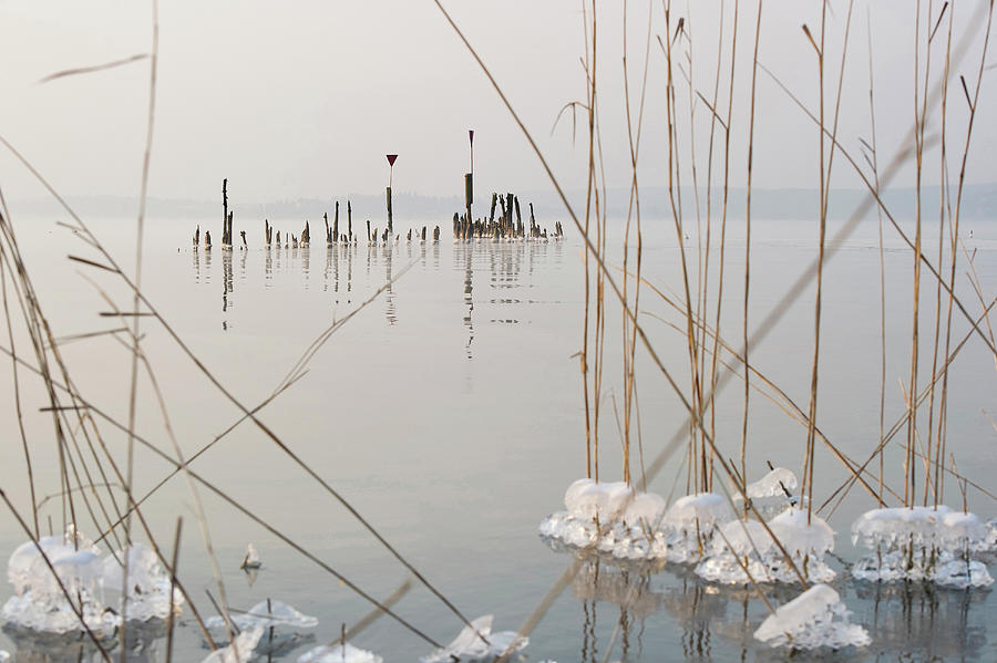 Lake Constance In Winter, Near Ueberlingen, Baden-wurttemberg, Germany #3 Photograph by Daniel Schoenen Fotografie