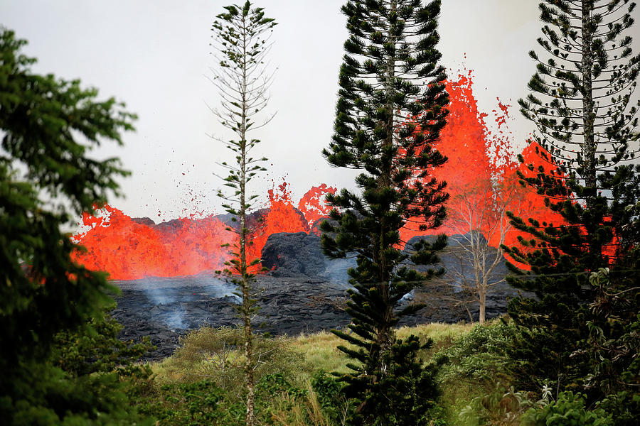 Lava Erupts on the Outskirts of Pahoa Photograph by Terray Sylvester ...