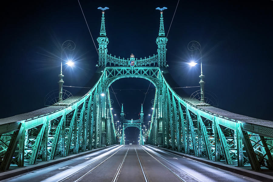 Liberty Bridge #3 Photograph by Svetlana Sewell