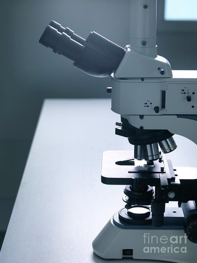 Light Microscope #3 by Science Photo Library