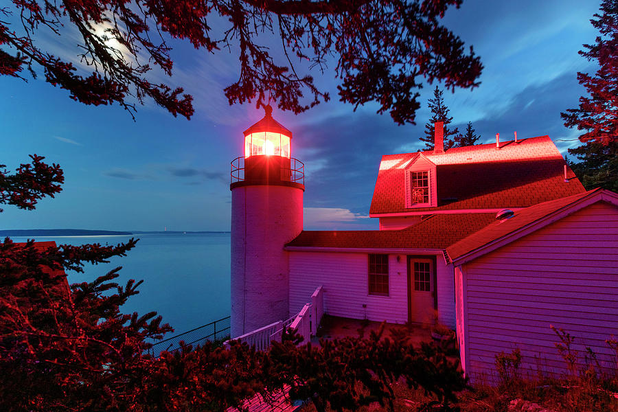 Acadia National Park Digital Art - Lighthouse, Bass Harbor, Maine #3 by Claudia Uripos