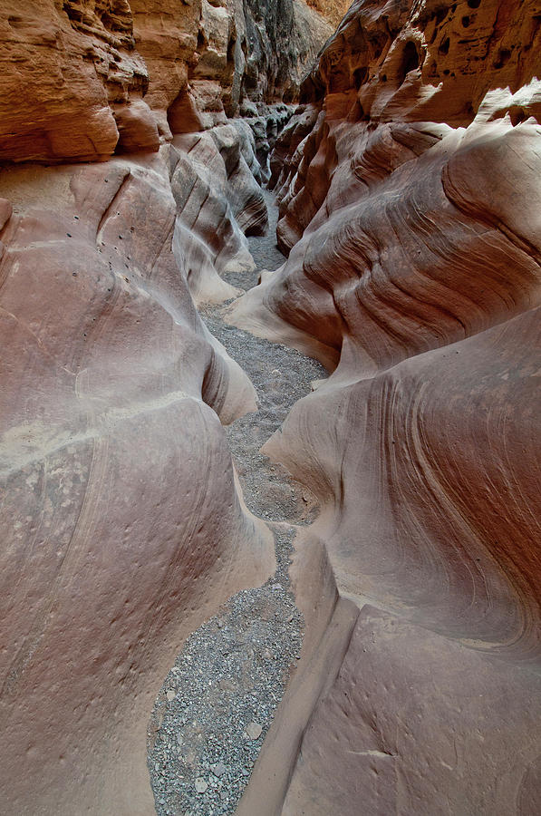 Little Wildhorse Canyon #3 Photograph by William Mullins