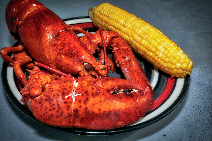 Lobster Dish, Trenton, Maine #3 Digital Art by Claudia Uripos