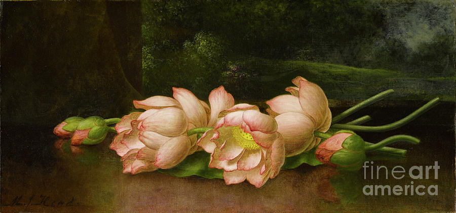Lotus Flowers A Landscape Painting In The Background Painting by Martin Johnson Heade