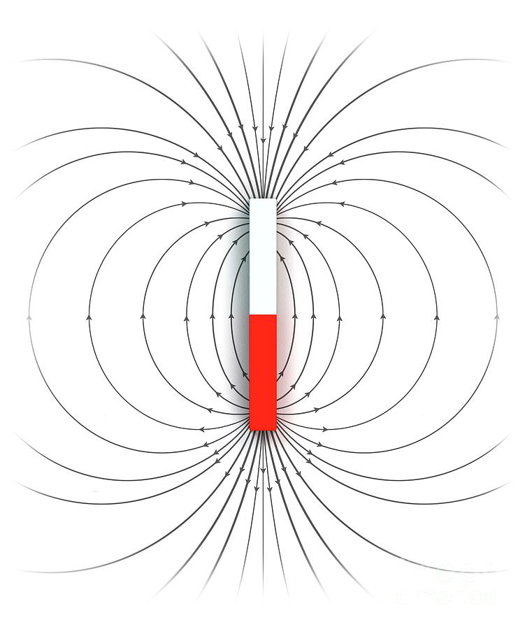 Magnetic Field Of A Bar Magnet Photograph by Mikkel Juul Jensen/science ...