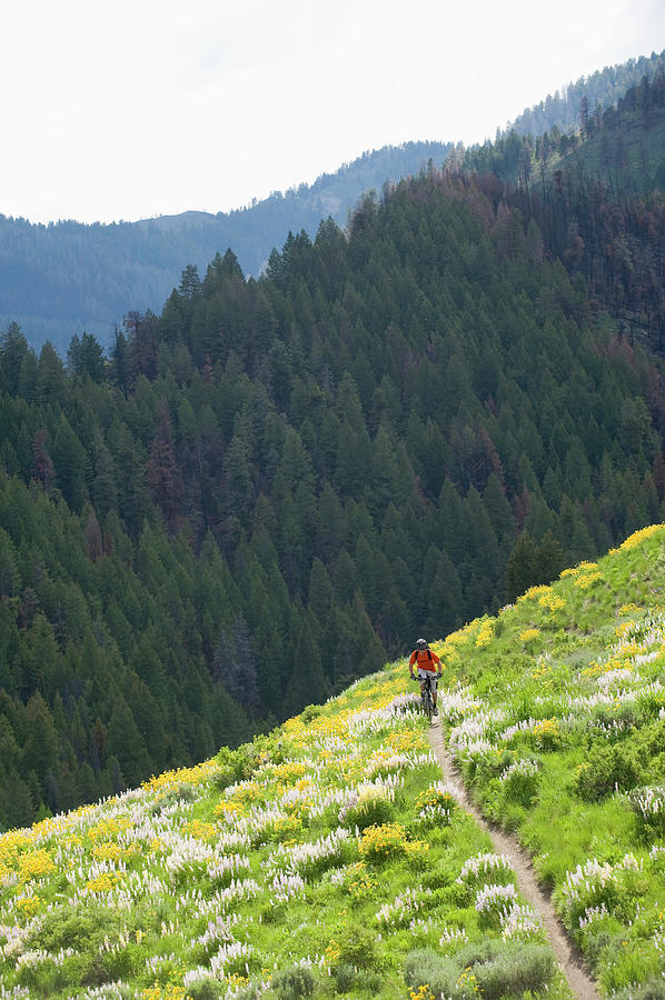 Man Mountain Biking In Sun Valley #3 Photograph by Scott Markewitz