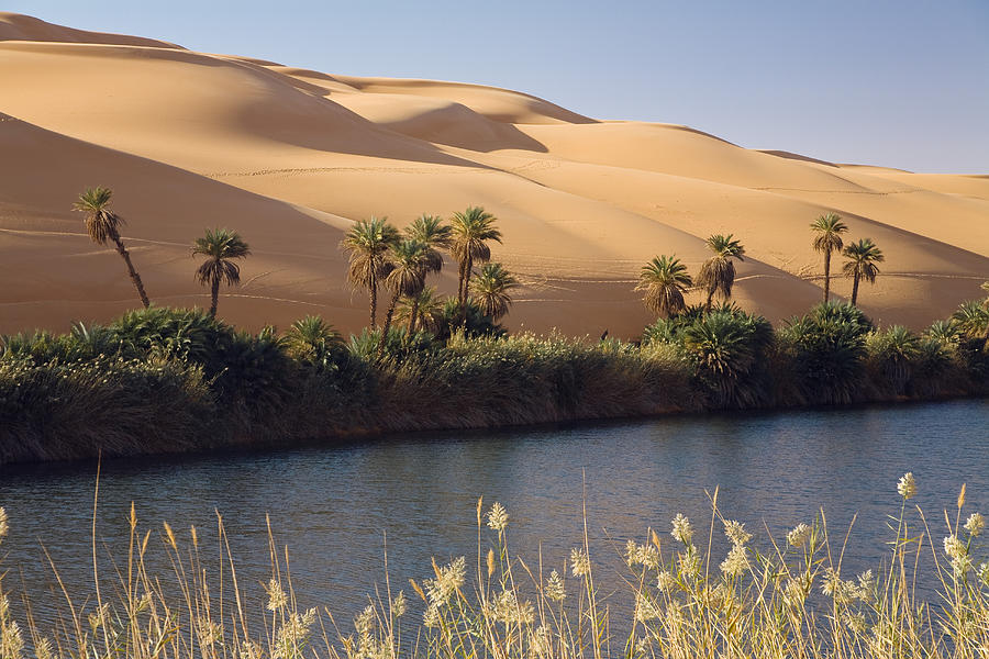 Mandara Lakes In The Dunes Of Ubari, Oasis Um El Ma, Libyan Desert ...