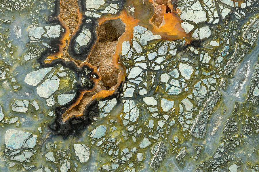 Marcasite Plume Agate #3 Photograph by Mark Windom