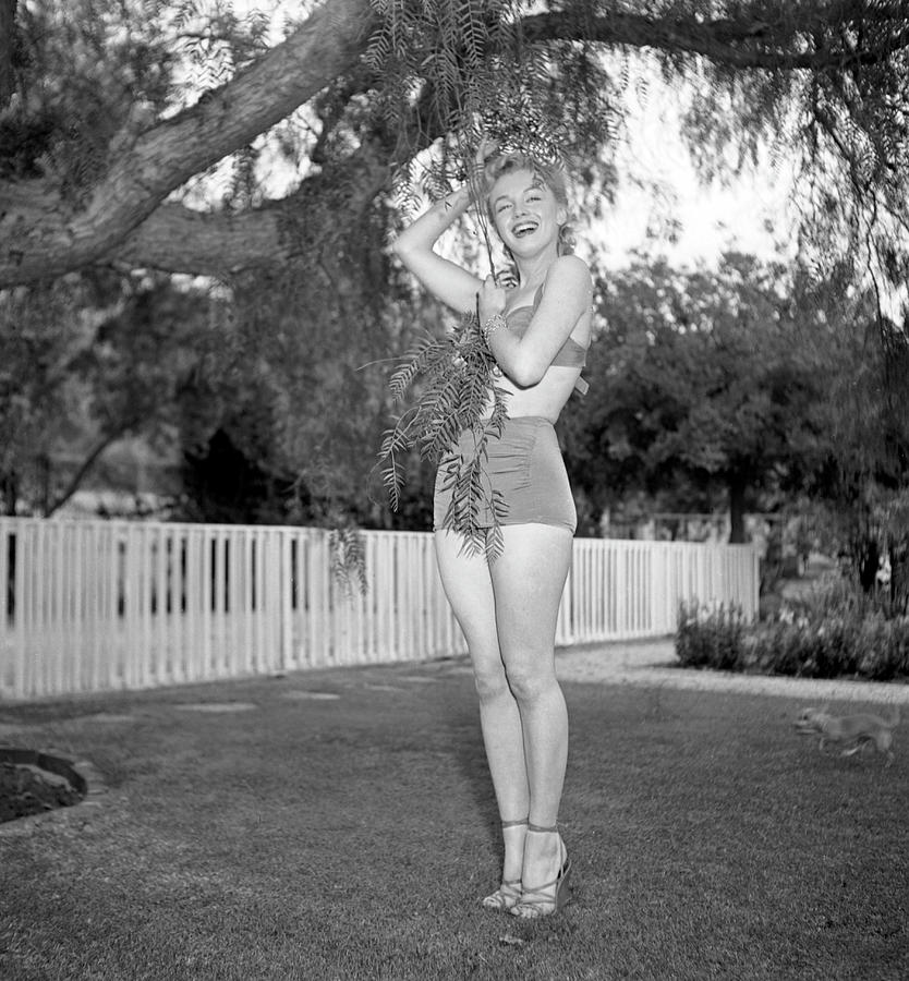 Marilyn Monroe Photograph - Marilyn Photo Session In Beverly Hills #3 by Michael Ochs Archives