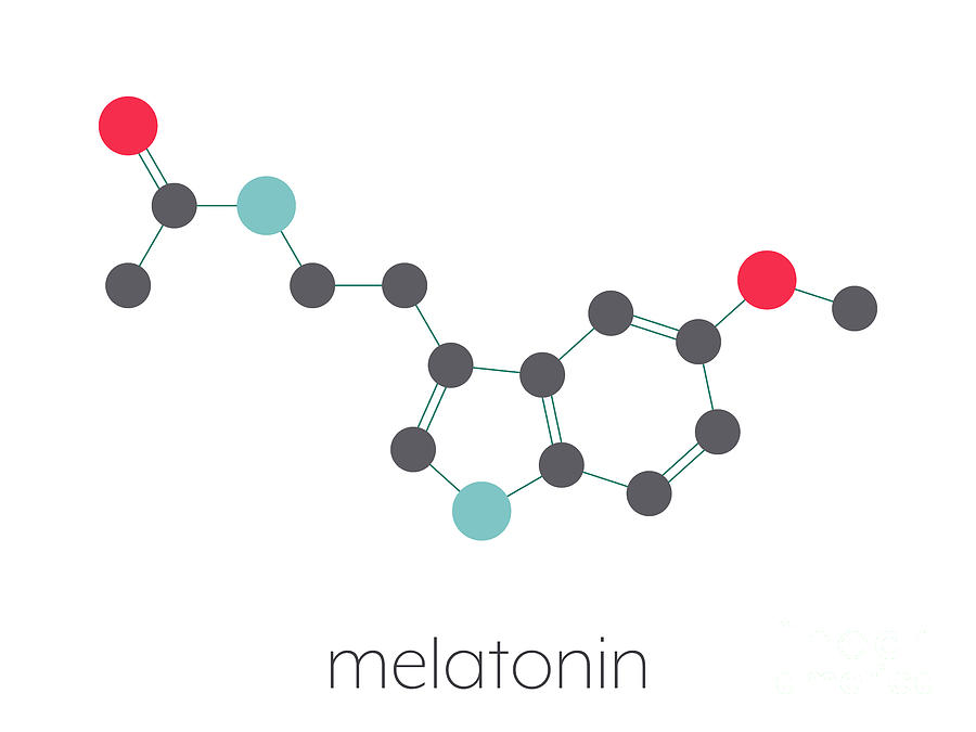 Melatonin Hormone Molecule #3 Photograph by Molekuul/science Photo Library