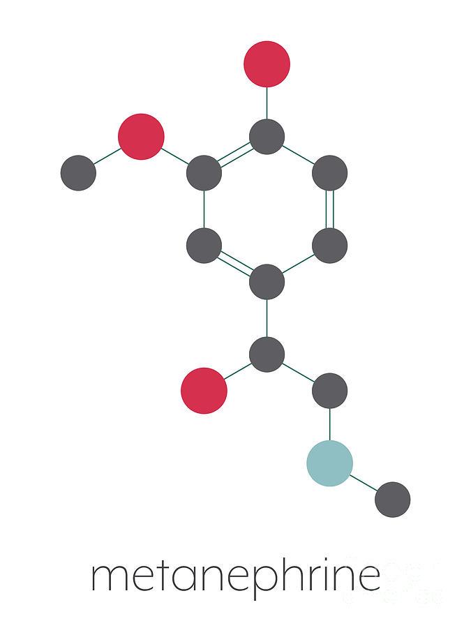 Metanephrine Molecule Photograph by Molekuul/science Photo Library ...