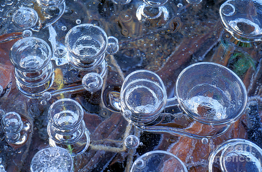 Methane Bubbles #3 Photograph by Dr Keith Wheeler/science Photo Library