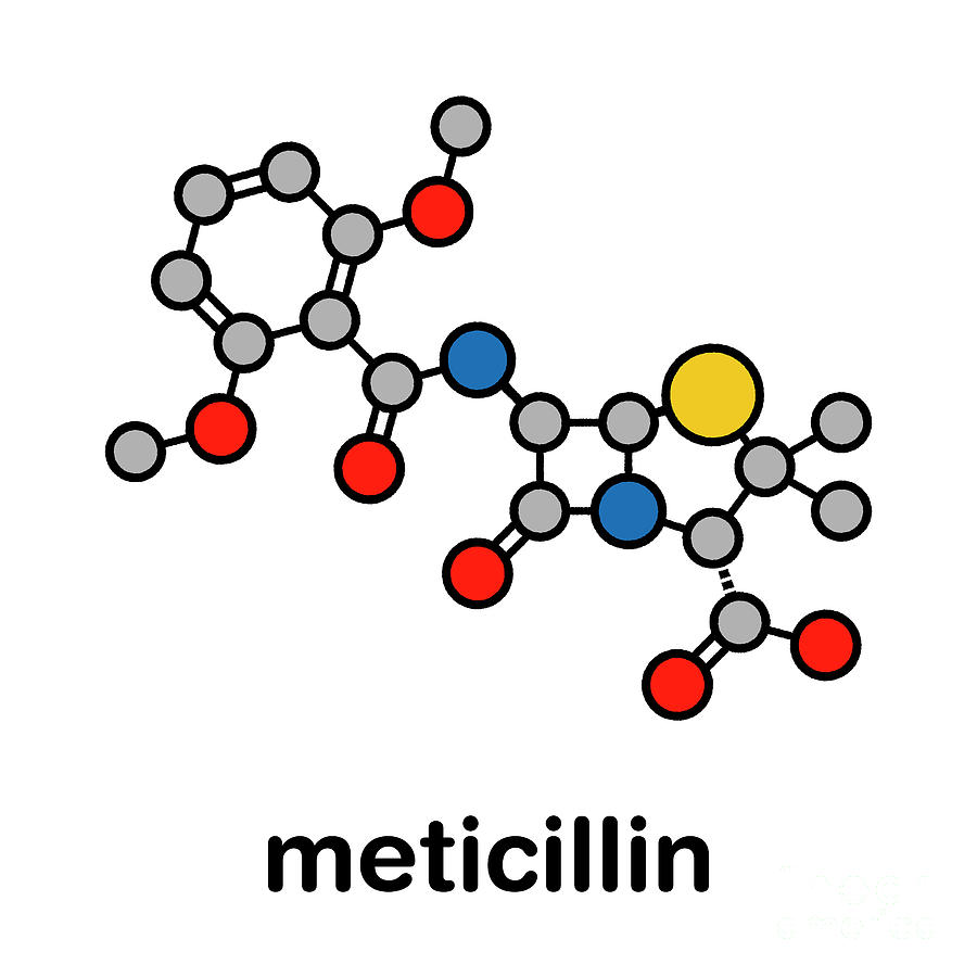 Meticillin Antibiotic Drug #3 Photograph by Molekuul/science Photo Library