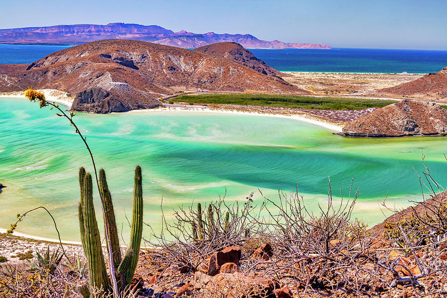 Mexico, La Paz, Baja California Sur Peninsula, Playa Balandra, Beach ...