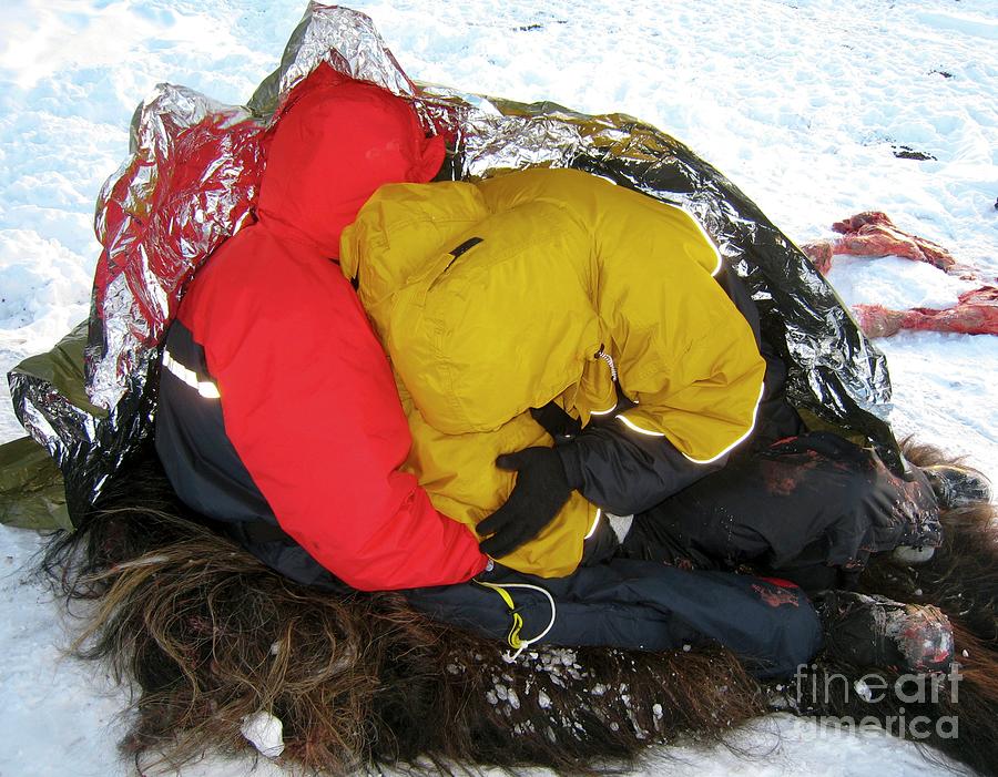 Military Arctic Survival Training #3 Photograph by Louise Murray/science Photo Library