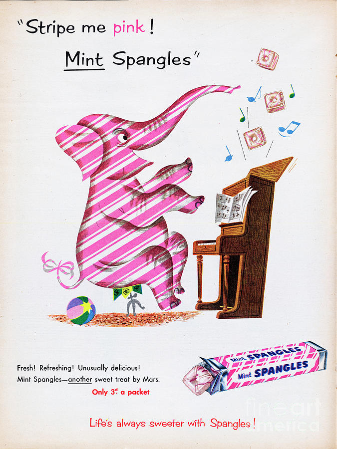 Mint Spangles #3 Photograph by Picture Post